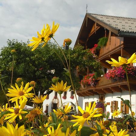 Hofbauer Villa Itter Luaran gambar