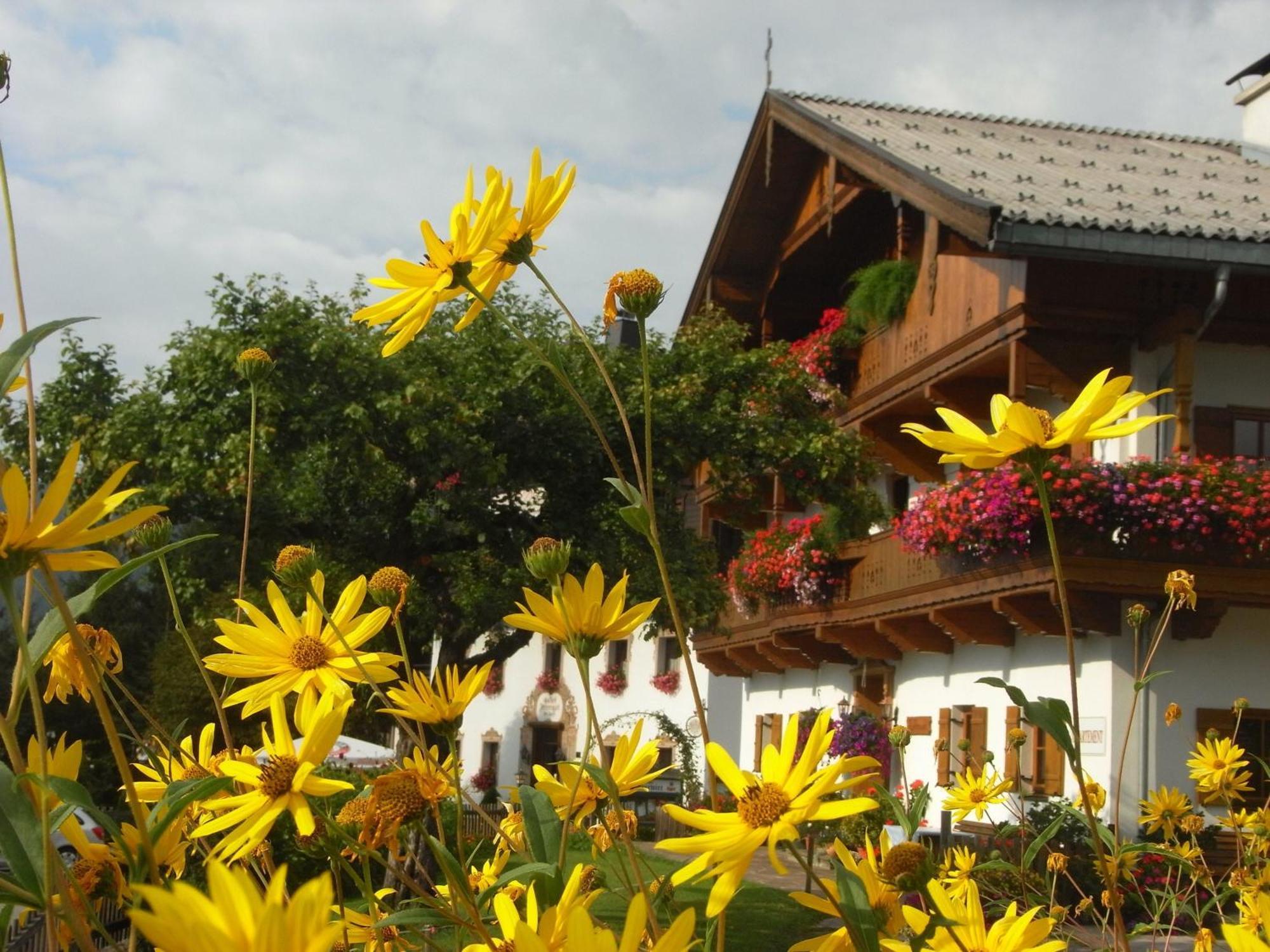 Hofbauer Villa Itter Luaran gambar