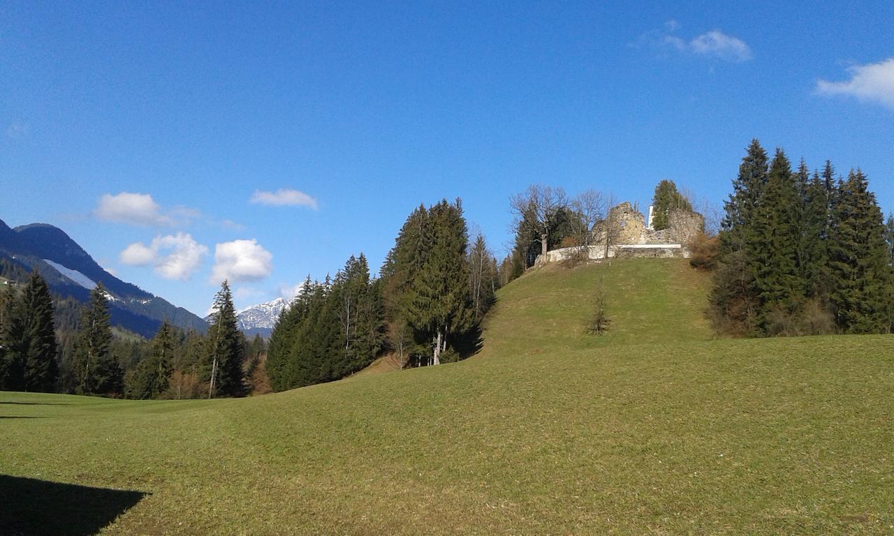 Hofbauer Villa Itter Luaran gambar