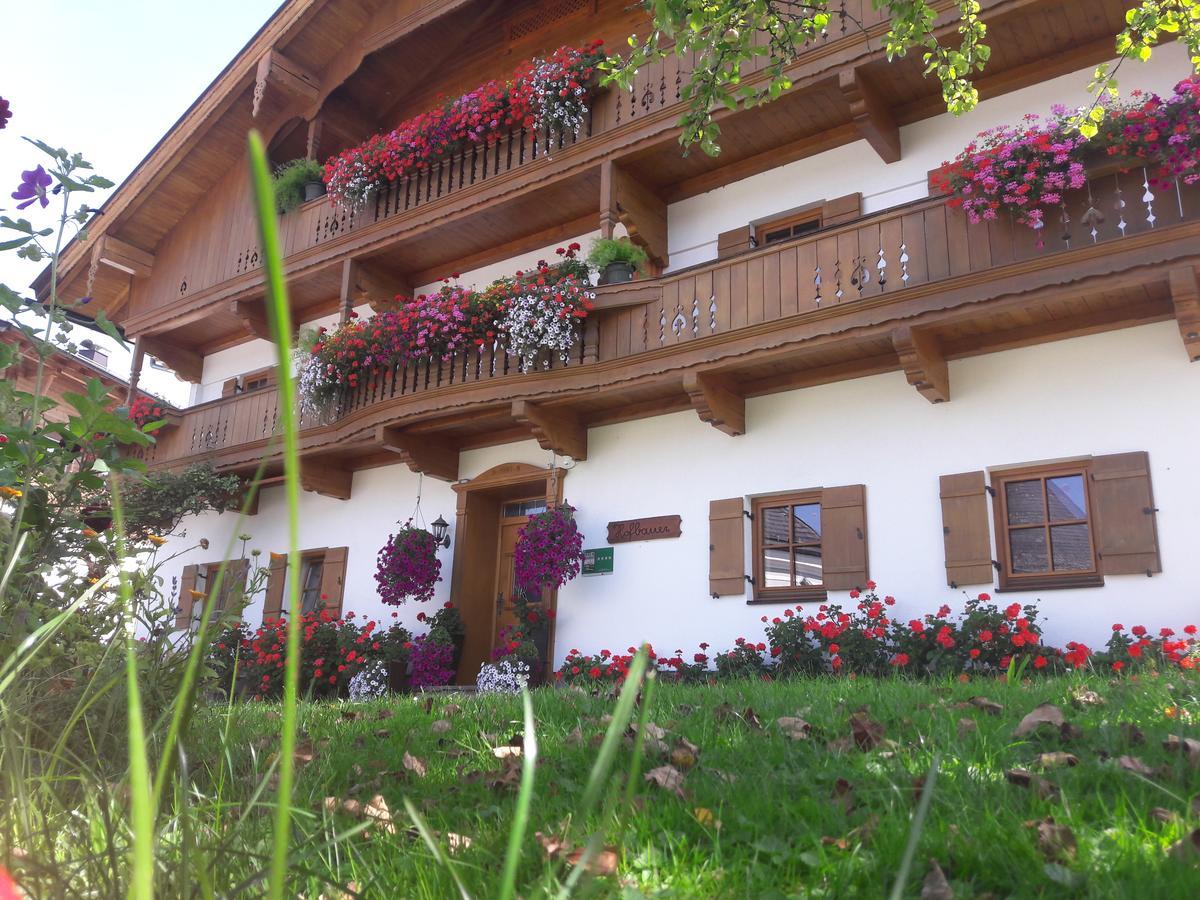 Hofbauer Villa Itter Luaran gambar