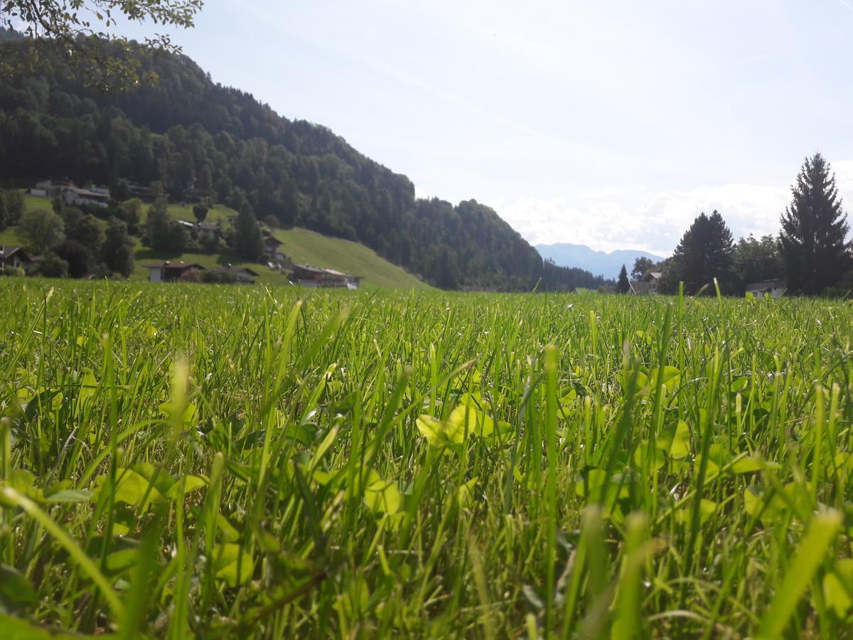 Hofbauer Villa Itter Luaran gambar