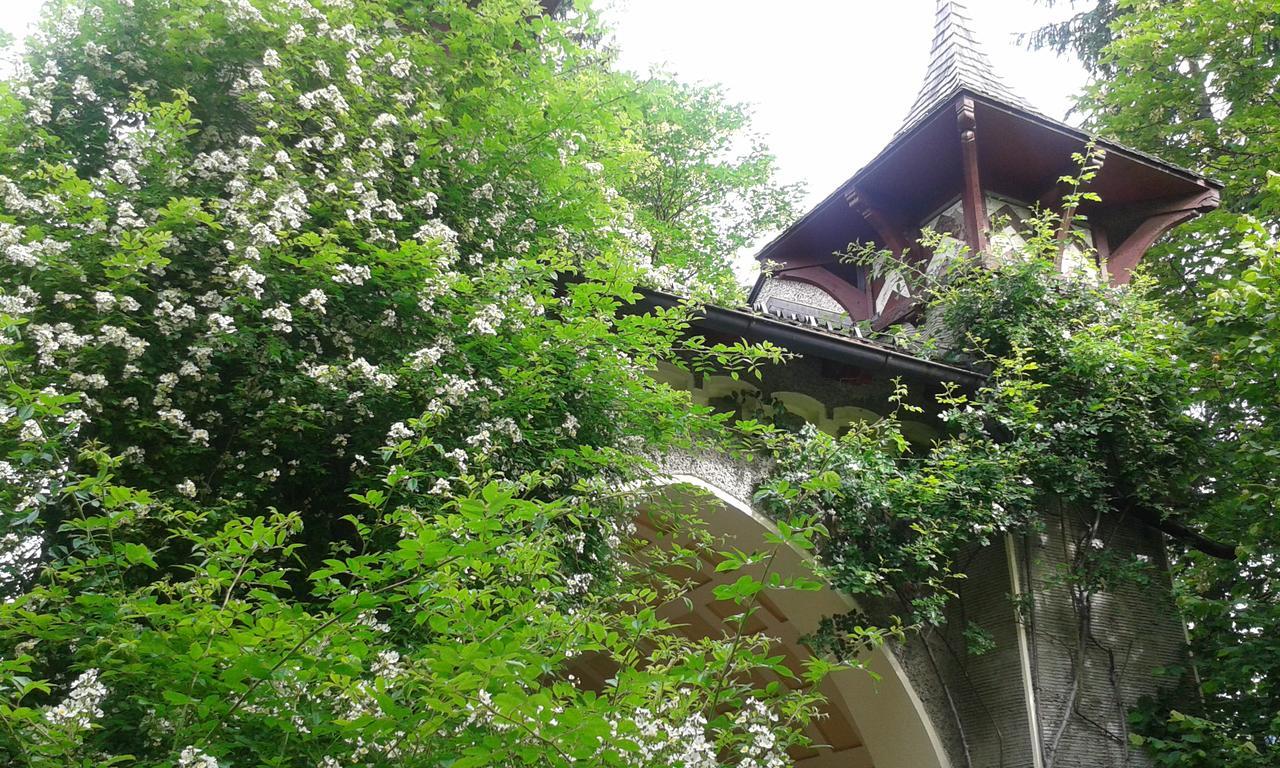 Hofbauer Villa Itter Luaran gambar